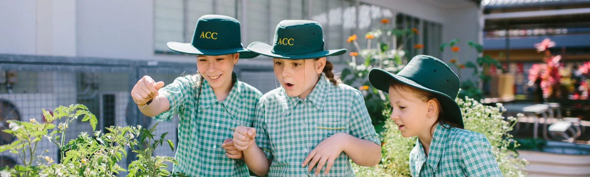 Beyond The Classroom