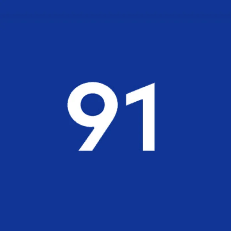 Unleaded Petrol 91 Image