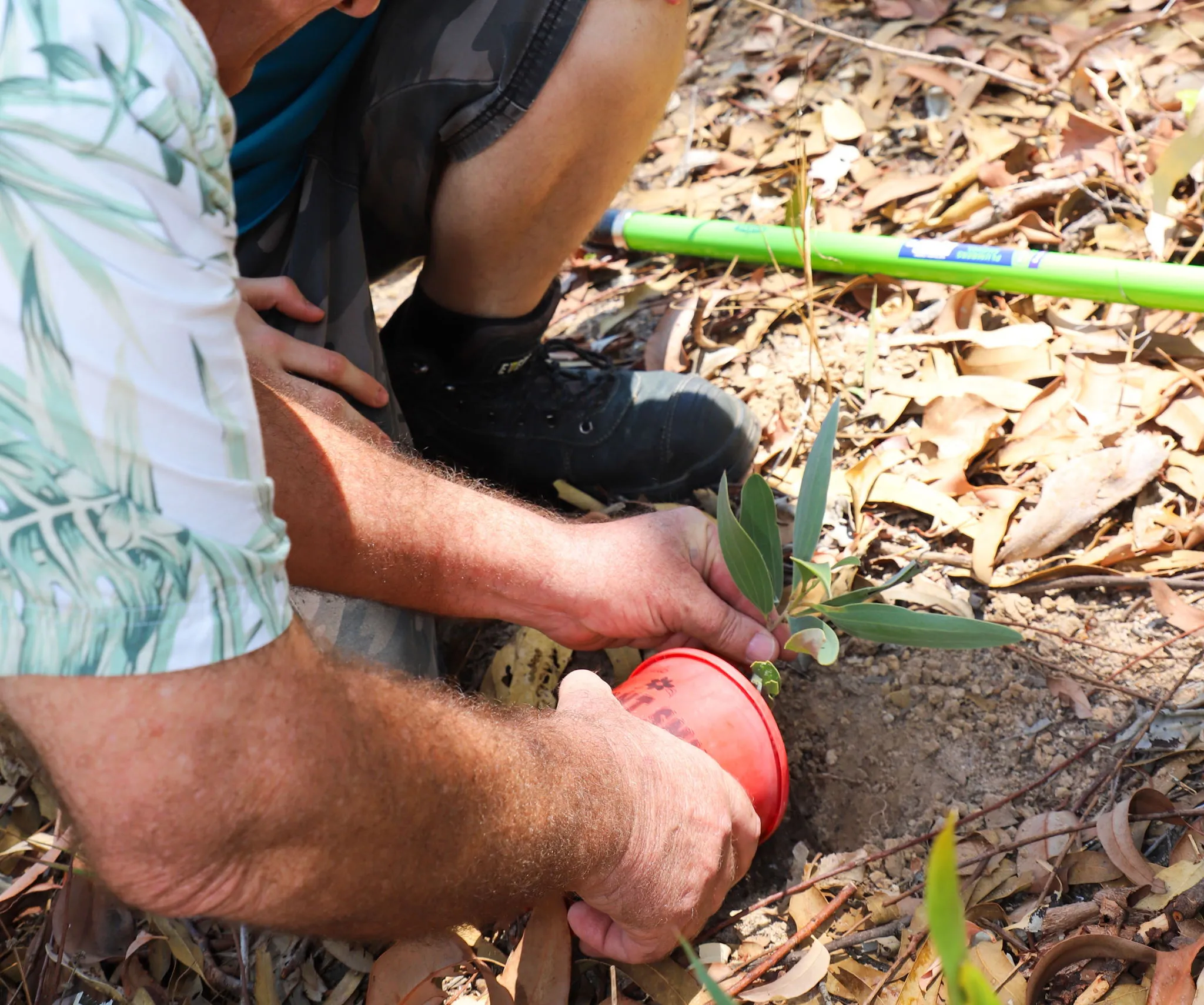 Certificate II in Conservation and Ecosystem Management  Pathways Image
