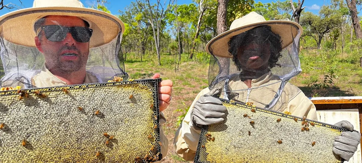Certificate III in Beekeeping Image