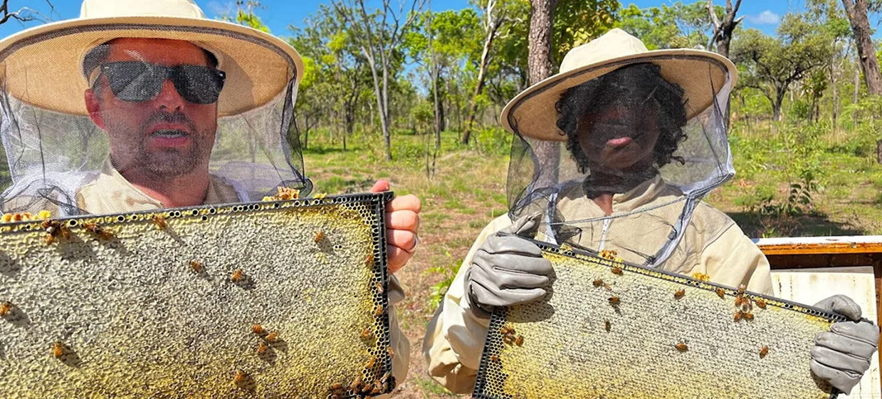 Certificate III in Beekeeping Image