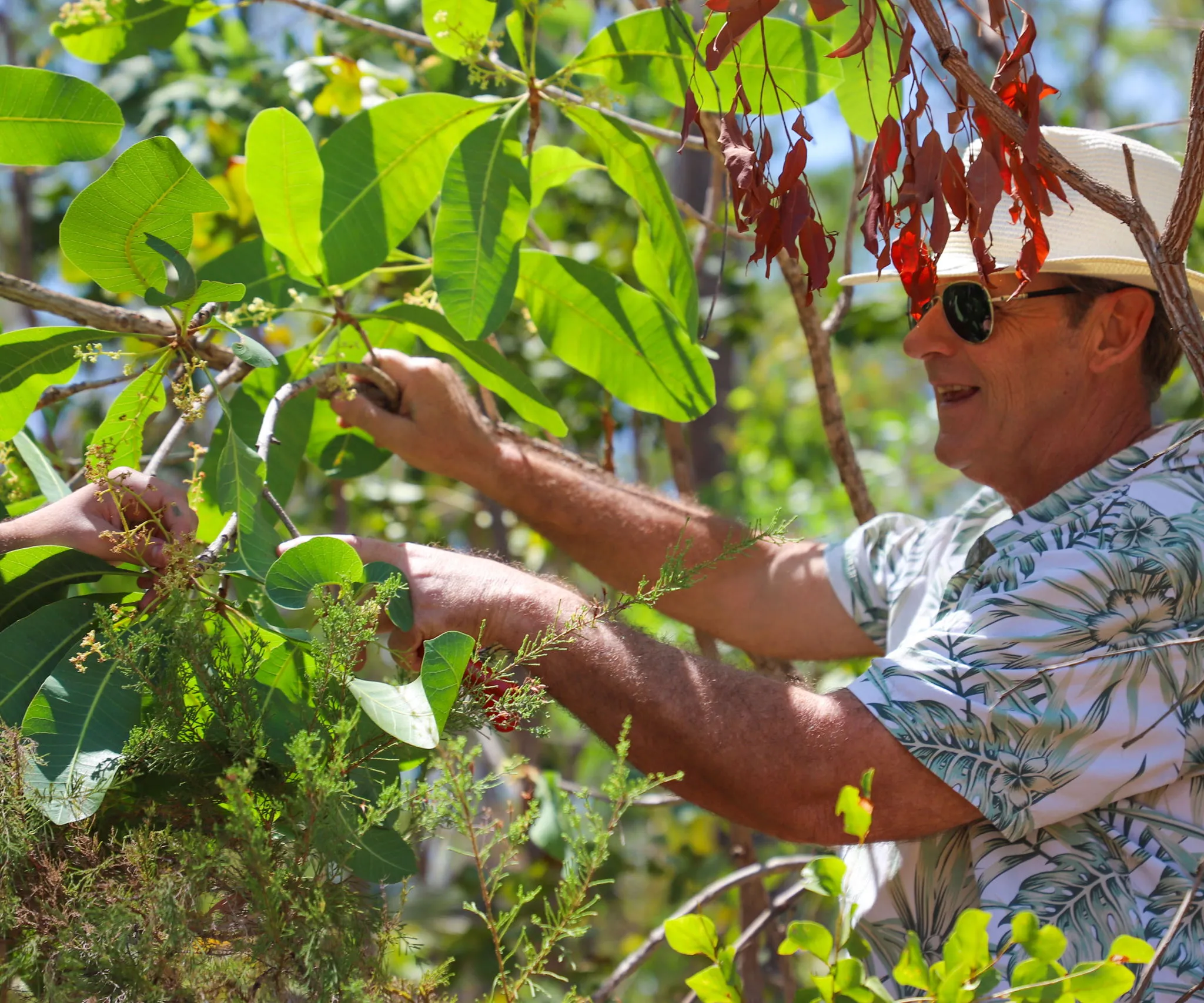 Certificate I in Conservation and Ecosystem Management Pathways Image