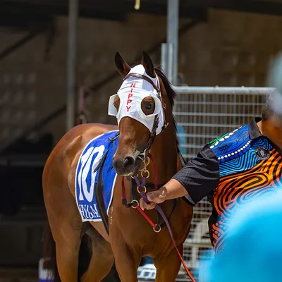 Race Day Image