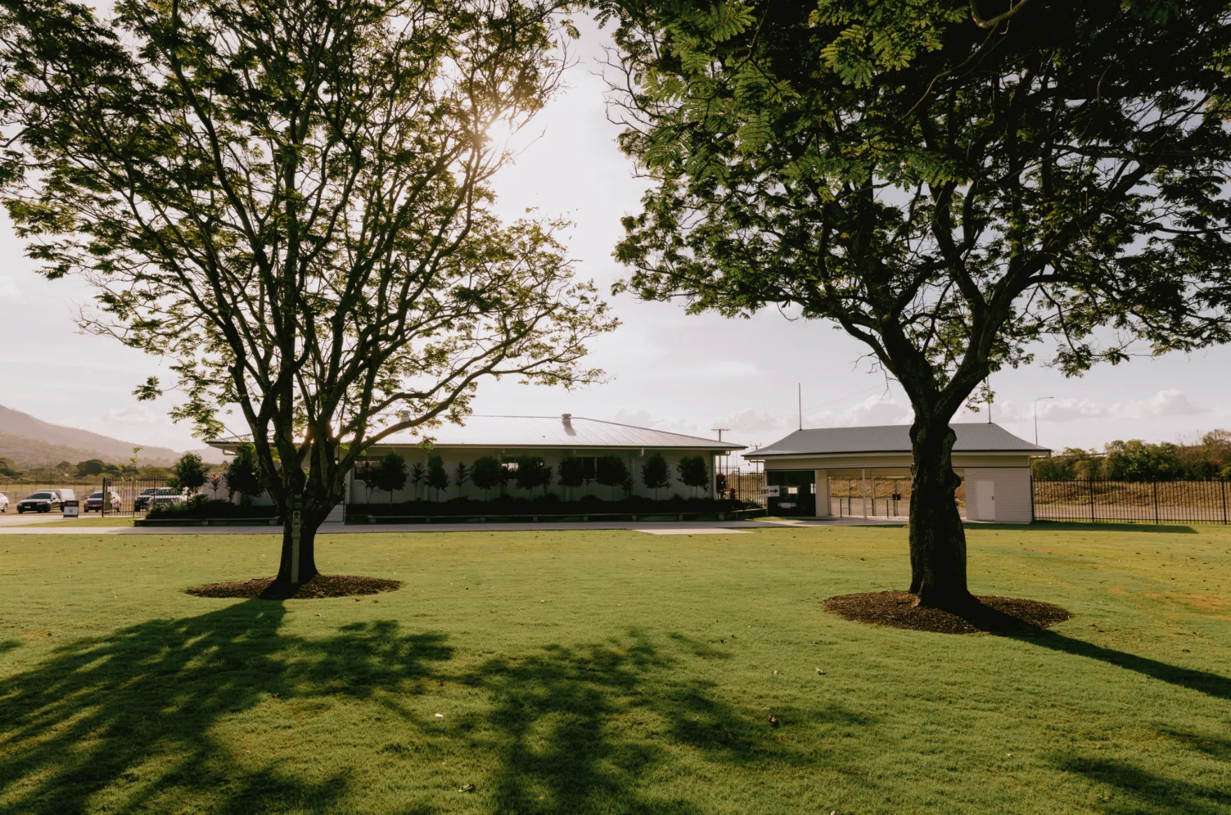 Fig Tree Lawns