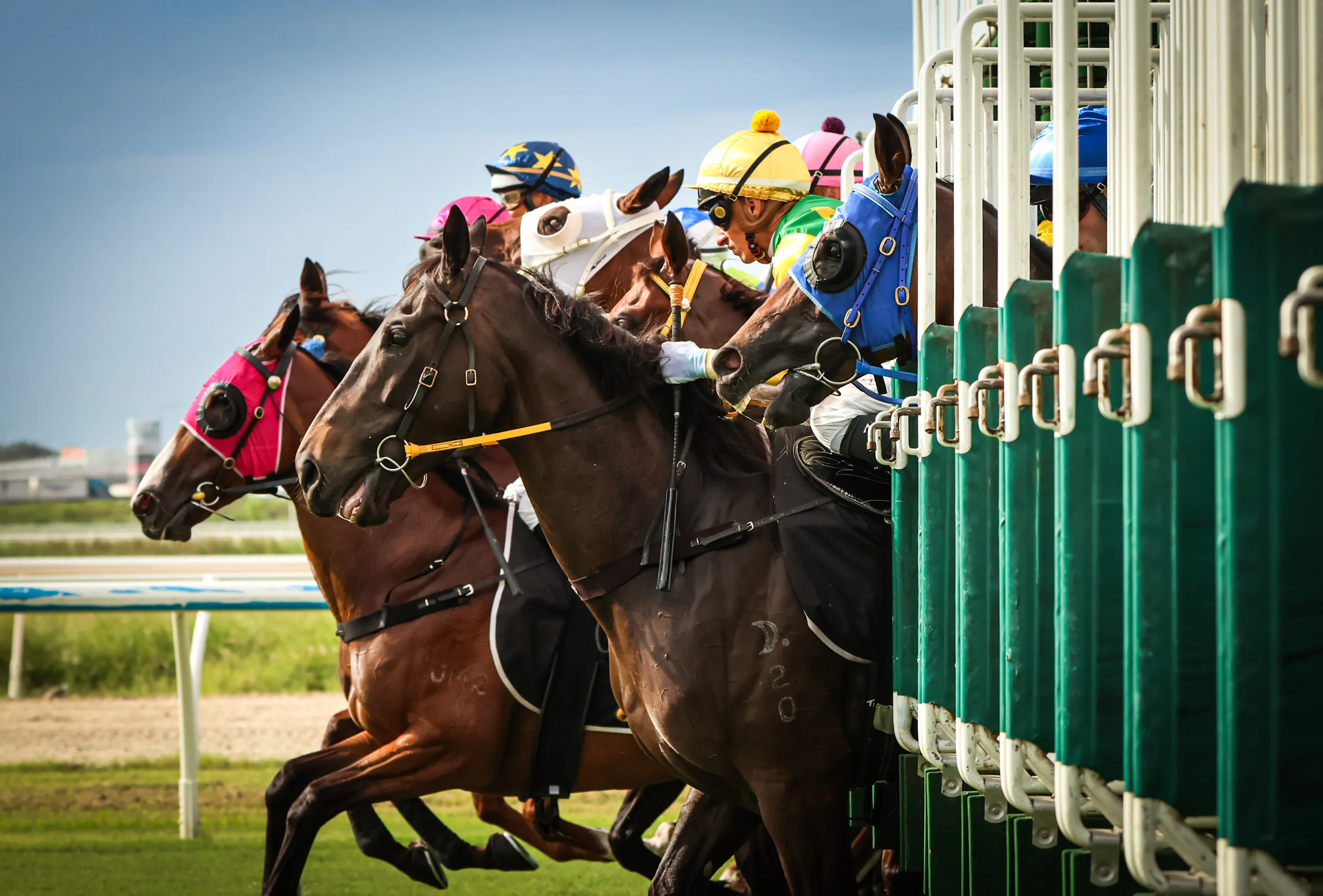 Cluden Park Race Day Sectional Data