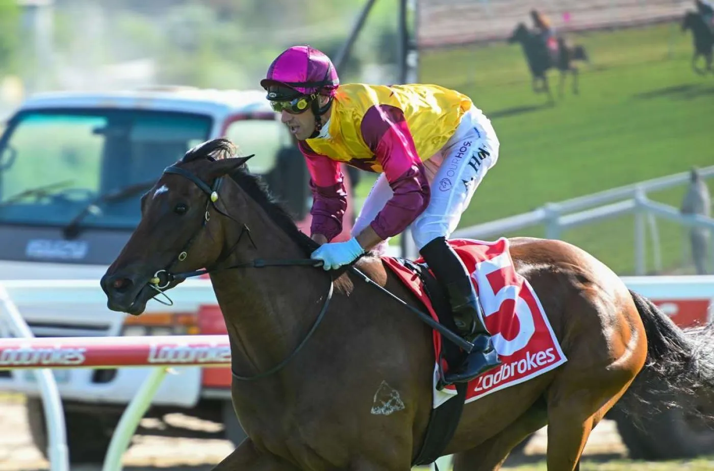 Hard Work Paying Off for Comeback King Holt