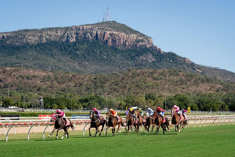 2YO Classic Image
