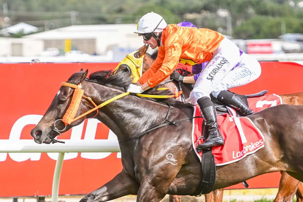 Massingham banks on shades to lift Lean Eagle in Ladies’ Day feature