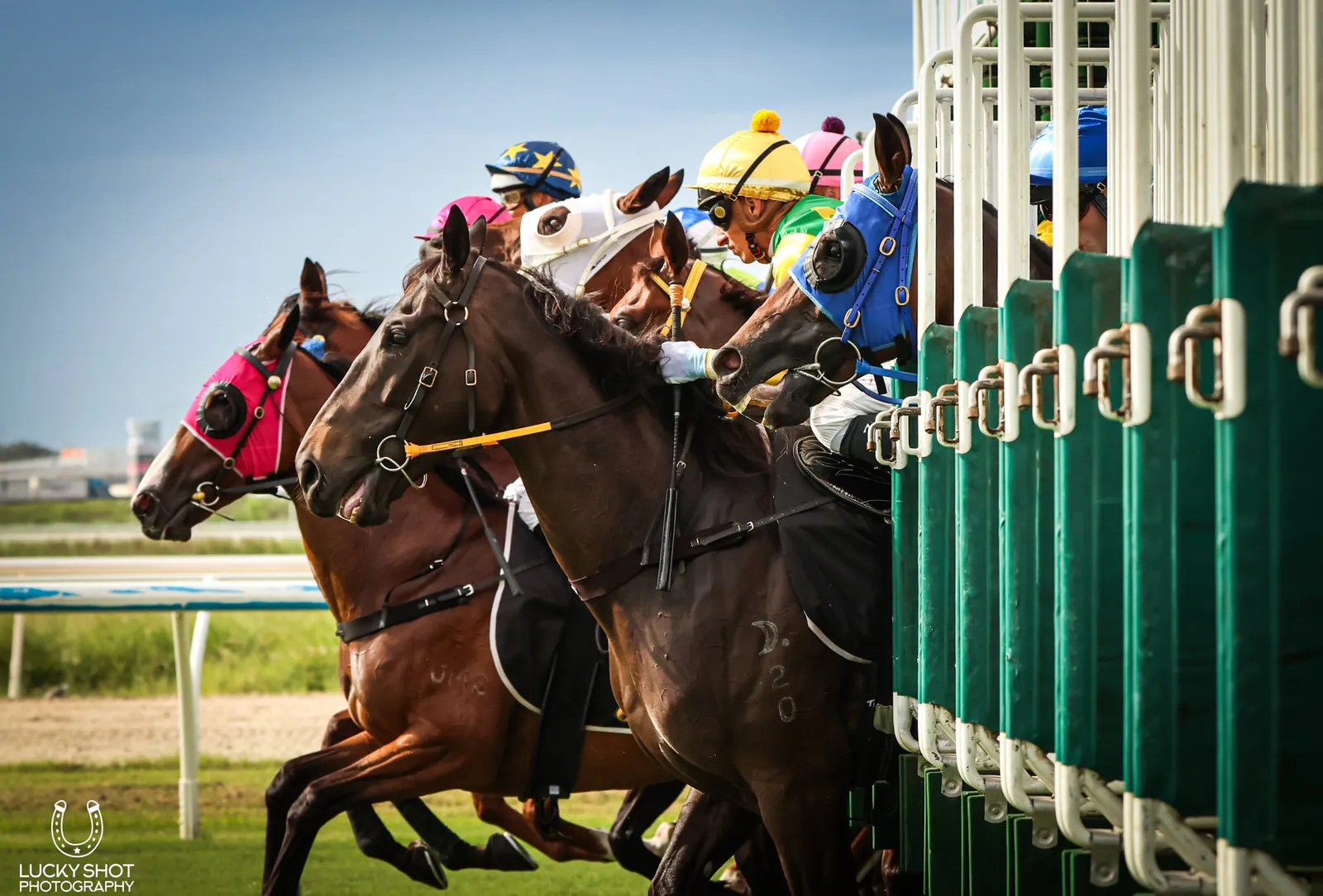 Race Day Image