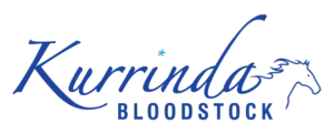 Kurrinda Bloodstock  Image