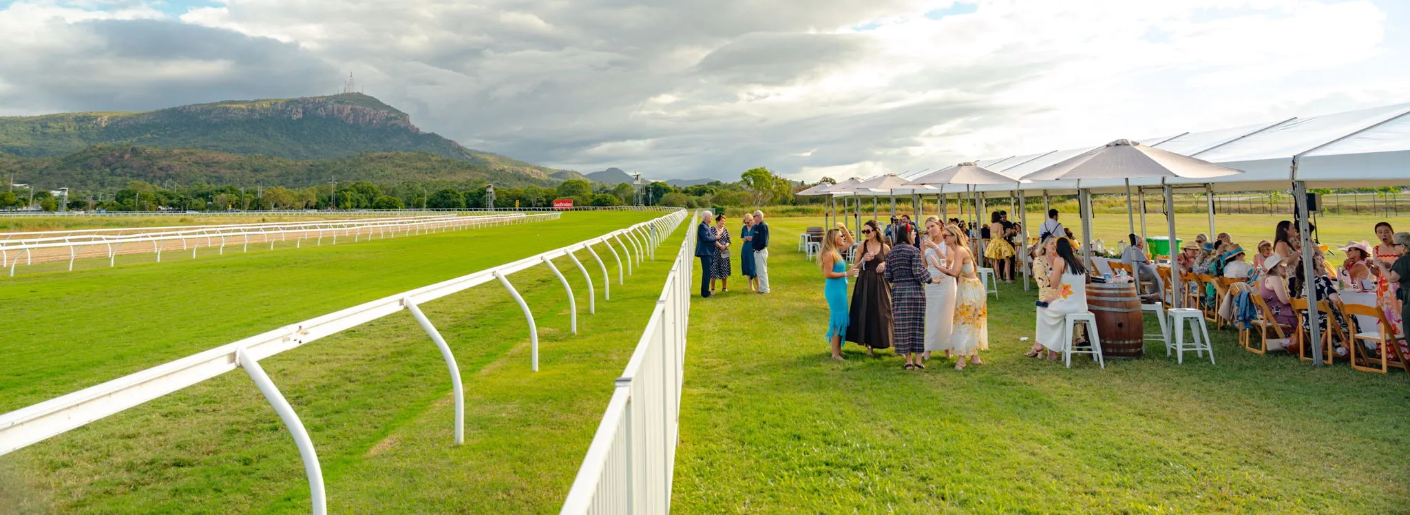 Grass Gallop, Jumpouts & Official Trials