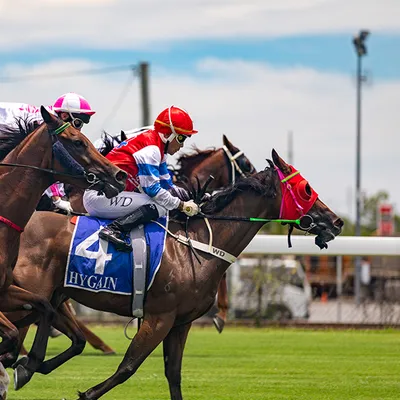 Townsville Show Day Holiday Image