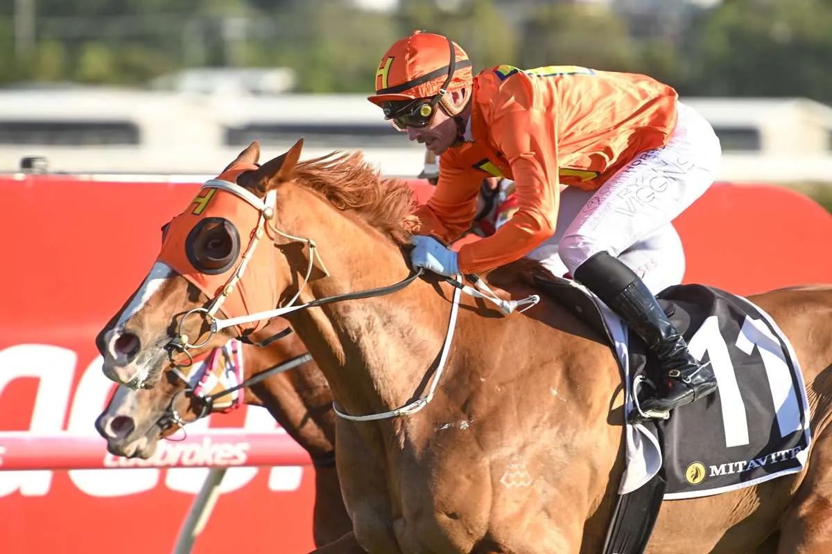 Wieland Looking for Strong Carnival Signs from Talented Trio