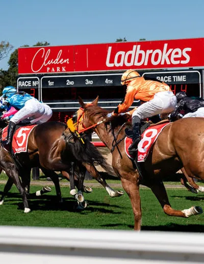 Race Day - TRADIES DAY Image