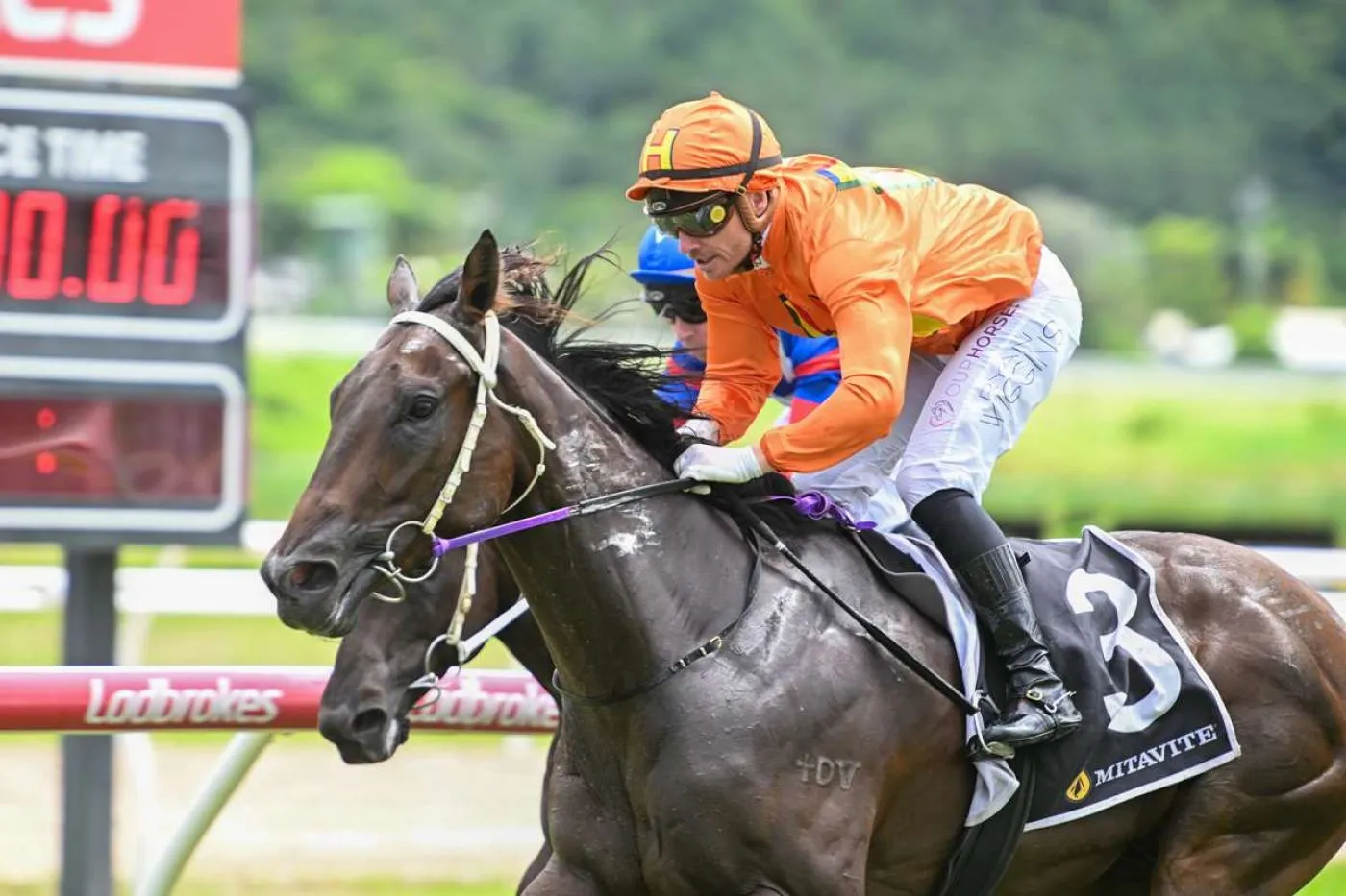 Locals on Top with a Big Day out at Cluden