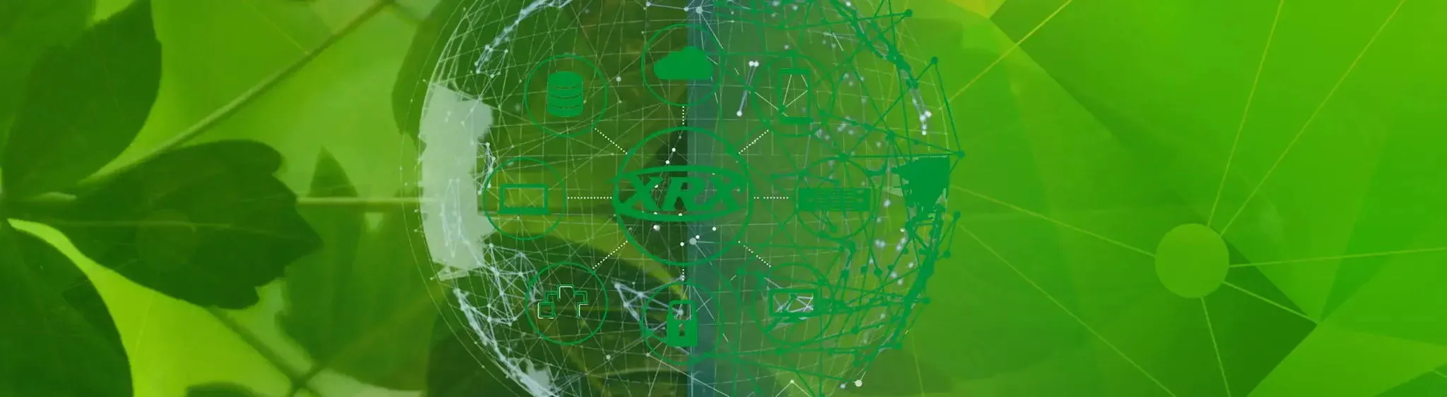 Business Call Features