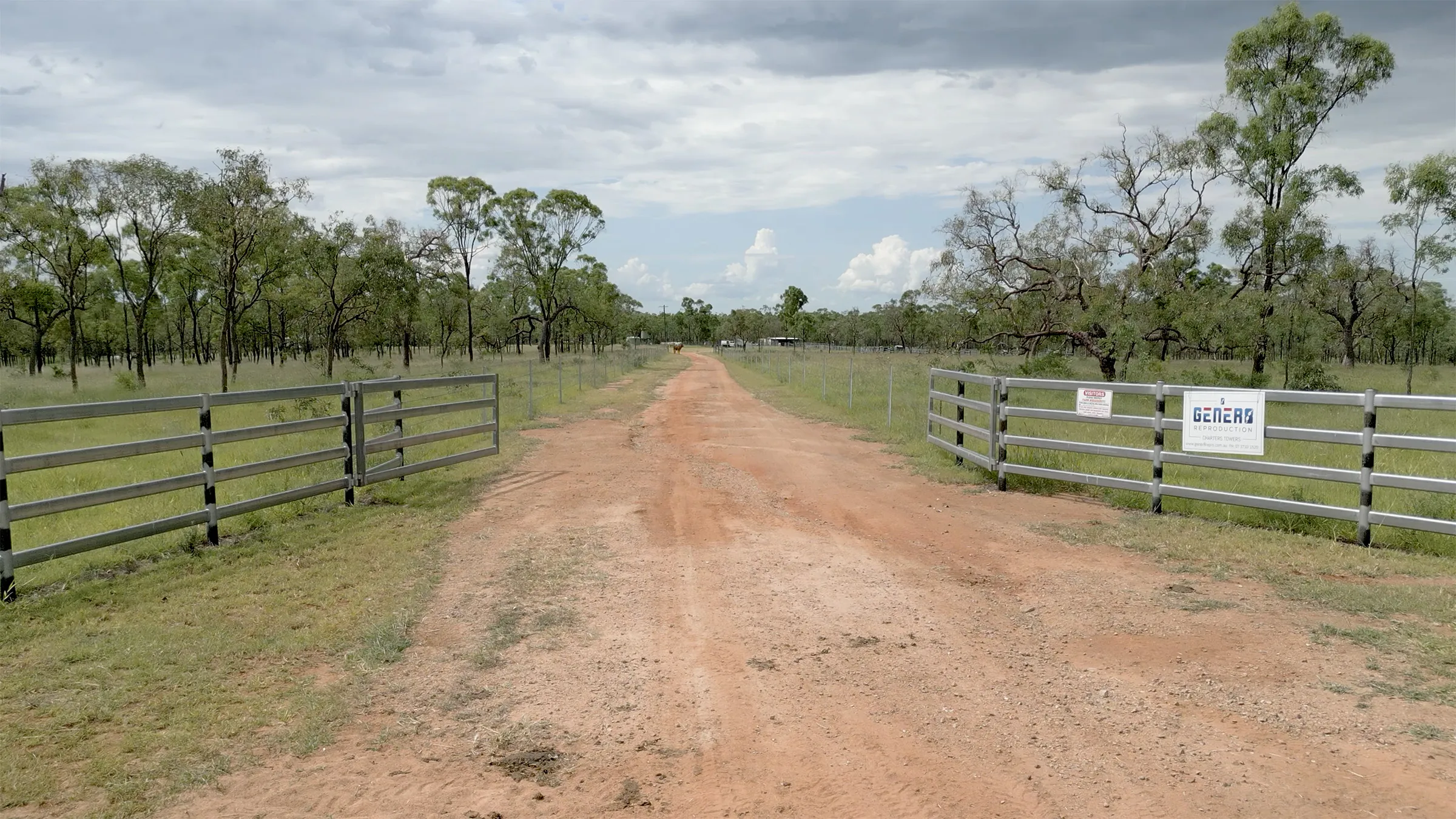 Driven by Genetics, Powered by Passion Image