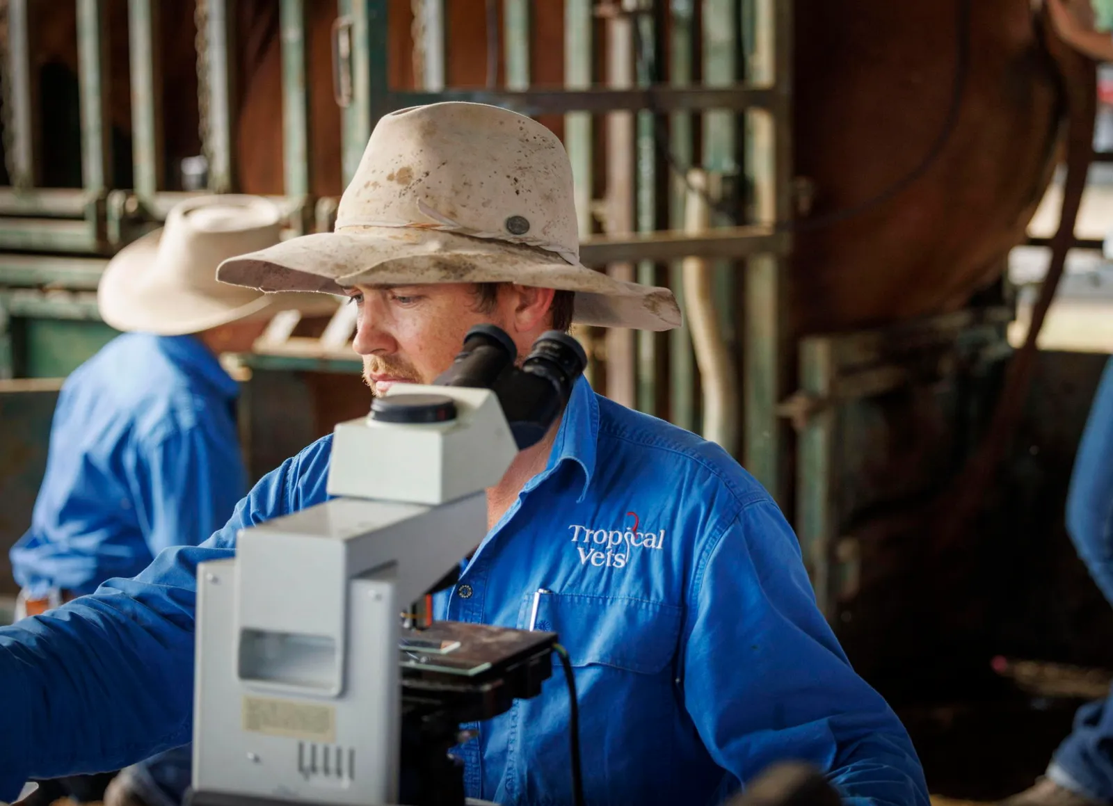 Visit Tropical Vets Image