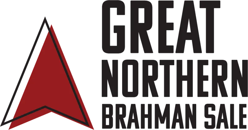 Great Northern Brahman Sale Image