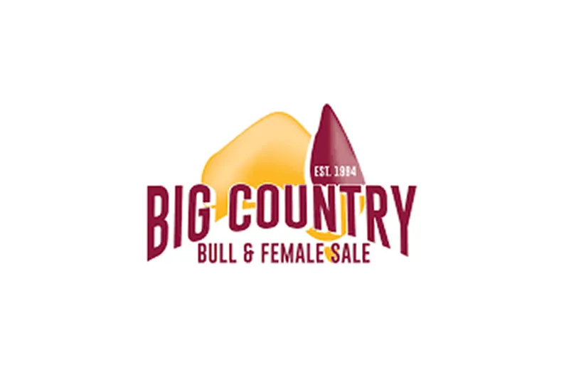 Big Country Brahman Sale Image