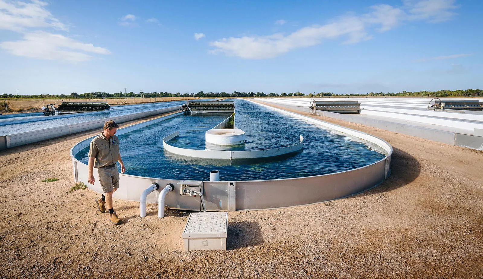 Macro-Algal Bioremediation Burdekin