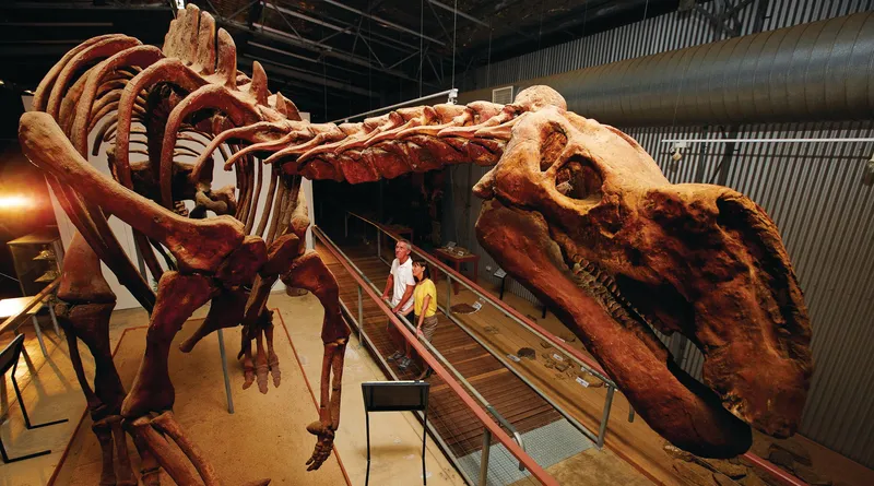 Flinders Discovery Centre