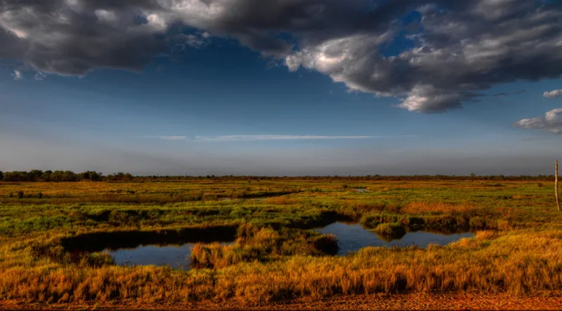 Mutton Hole Wetlands Conservation Park