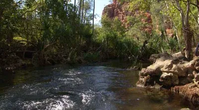 Boodjamulla (Lawn Hill) National Park
