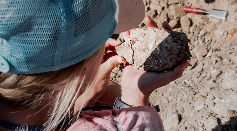 Fossil Hunting