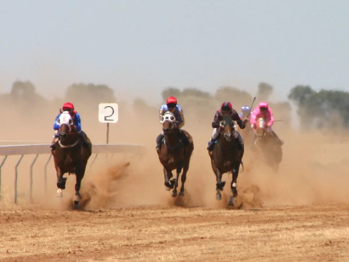 McKinlay Races 