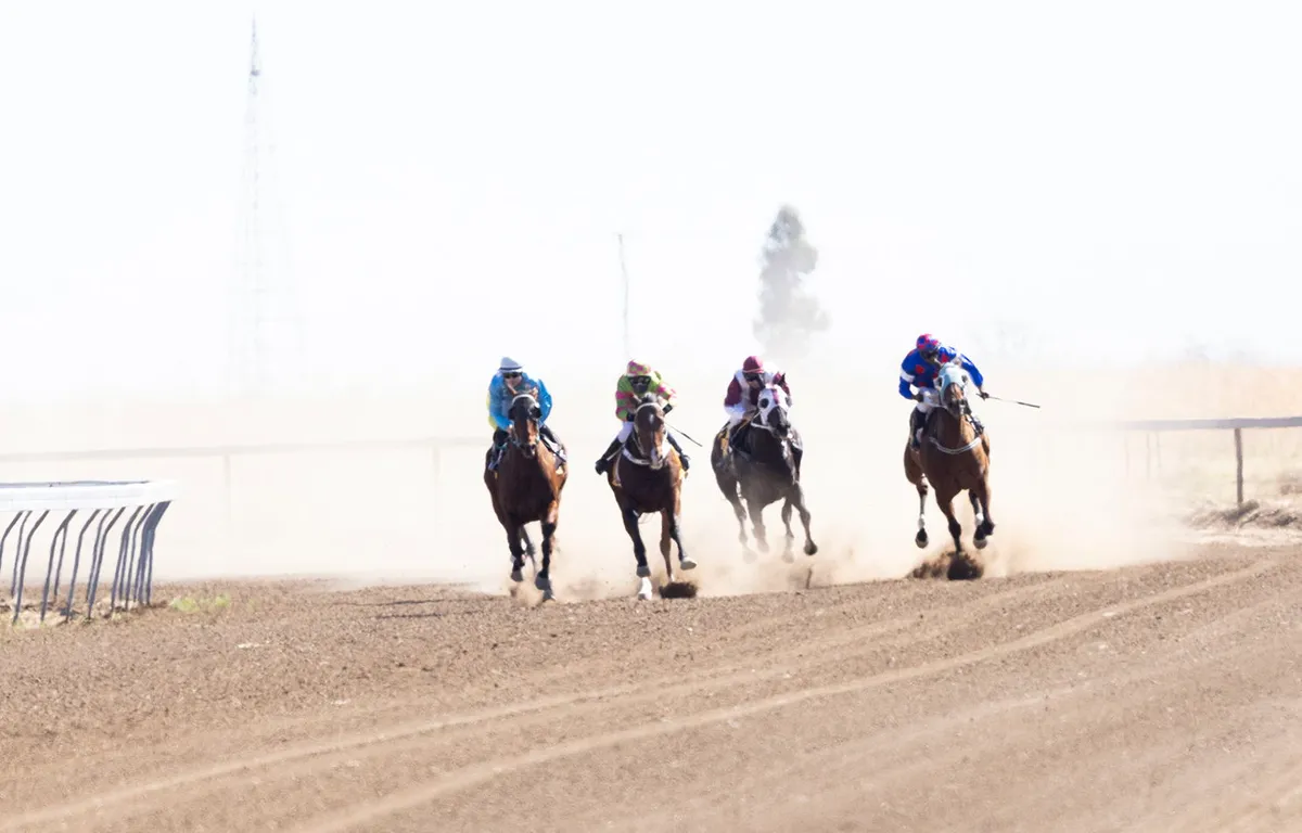 Artesian Express Races 