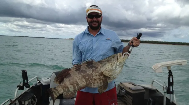 Fish Mornington Island