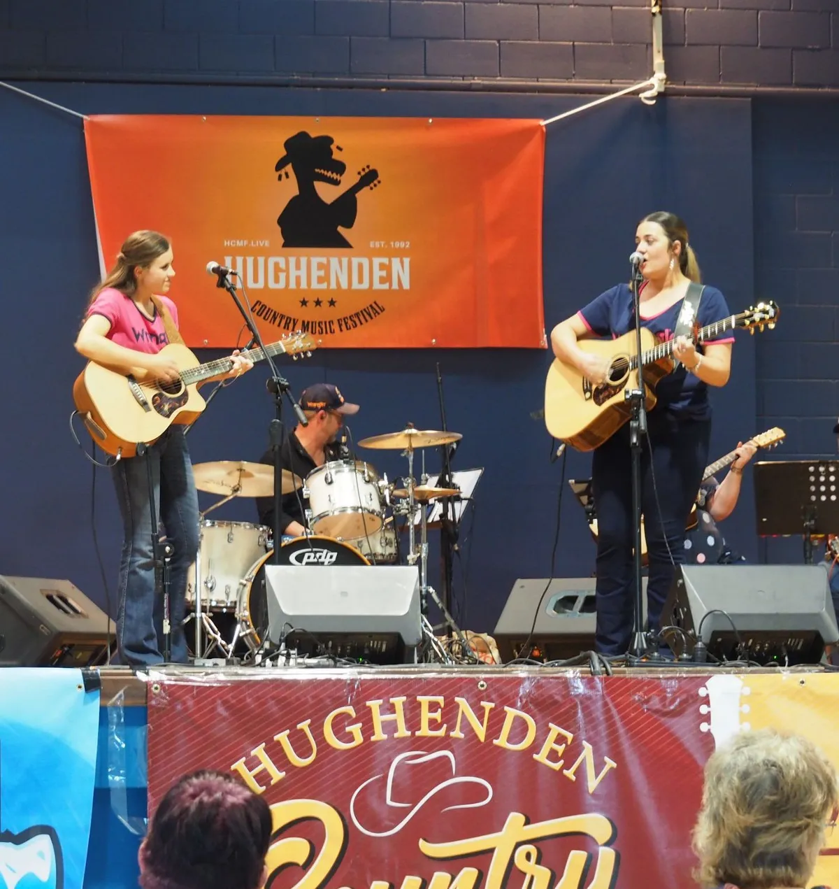 Country Music Festival 
