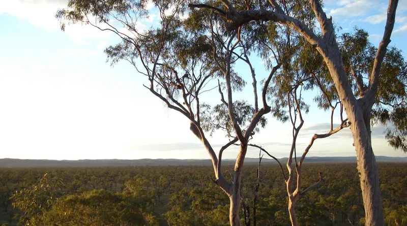 Blackbraes National Park