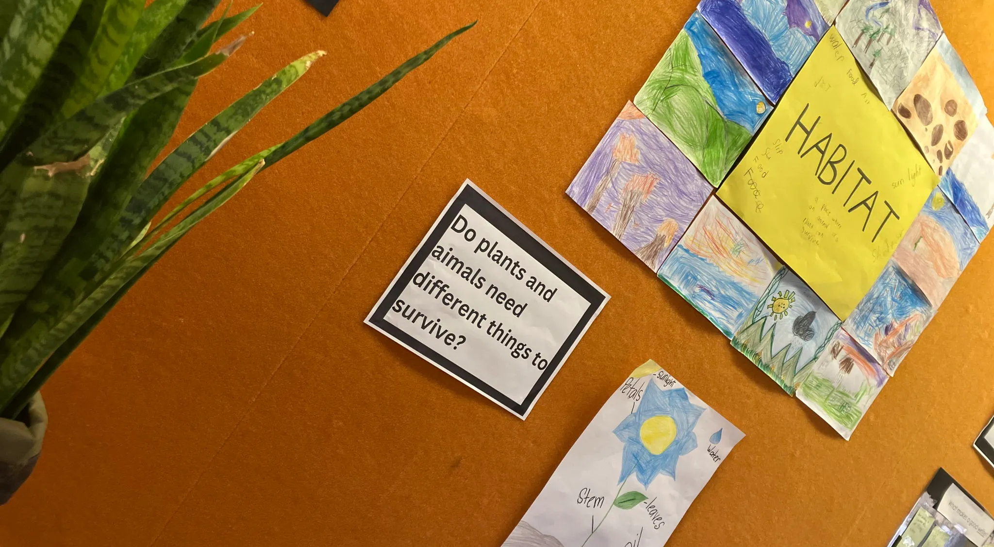Truly Collaborative Real-World Learning at Living Waters