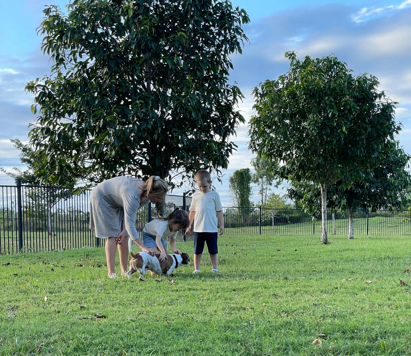 Dog Park