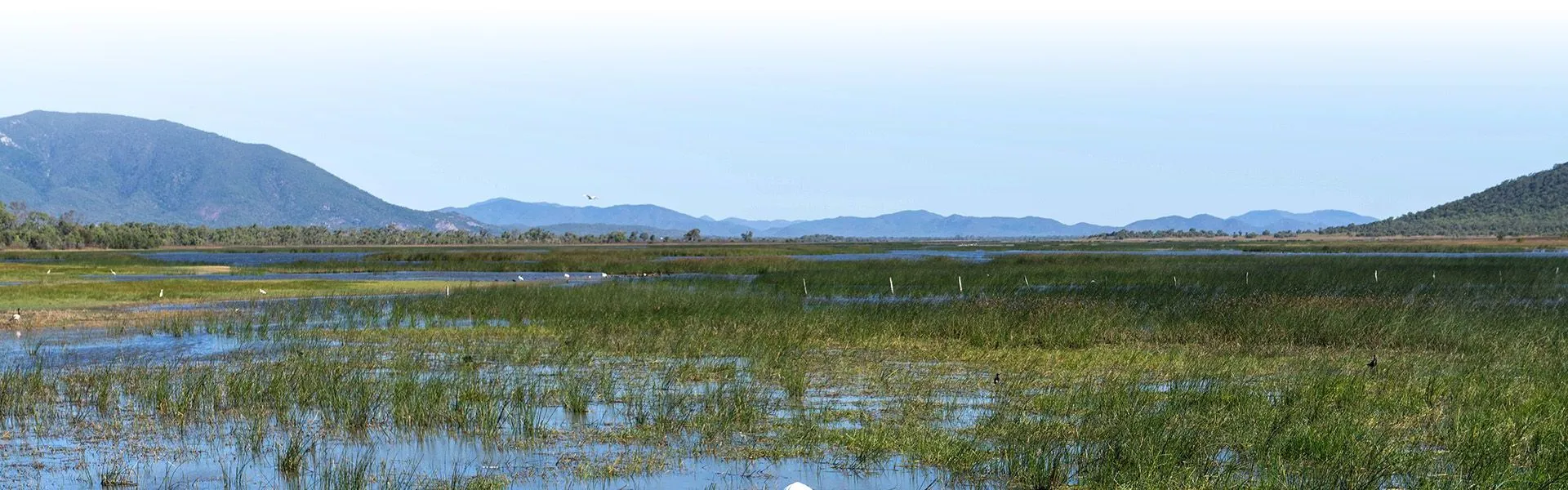 Environment