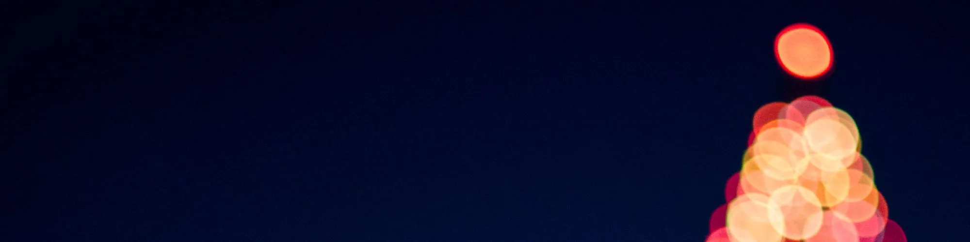 The Cotters Christmas Elf Hunt - Powered by Reef Recycling