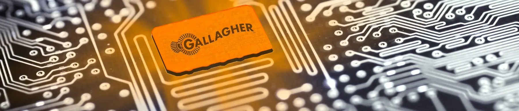 Gallagher Access Control & Security Systems