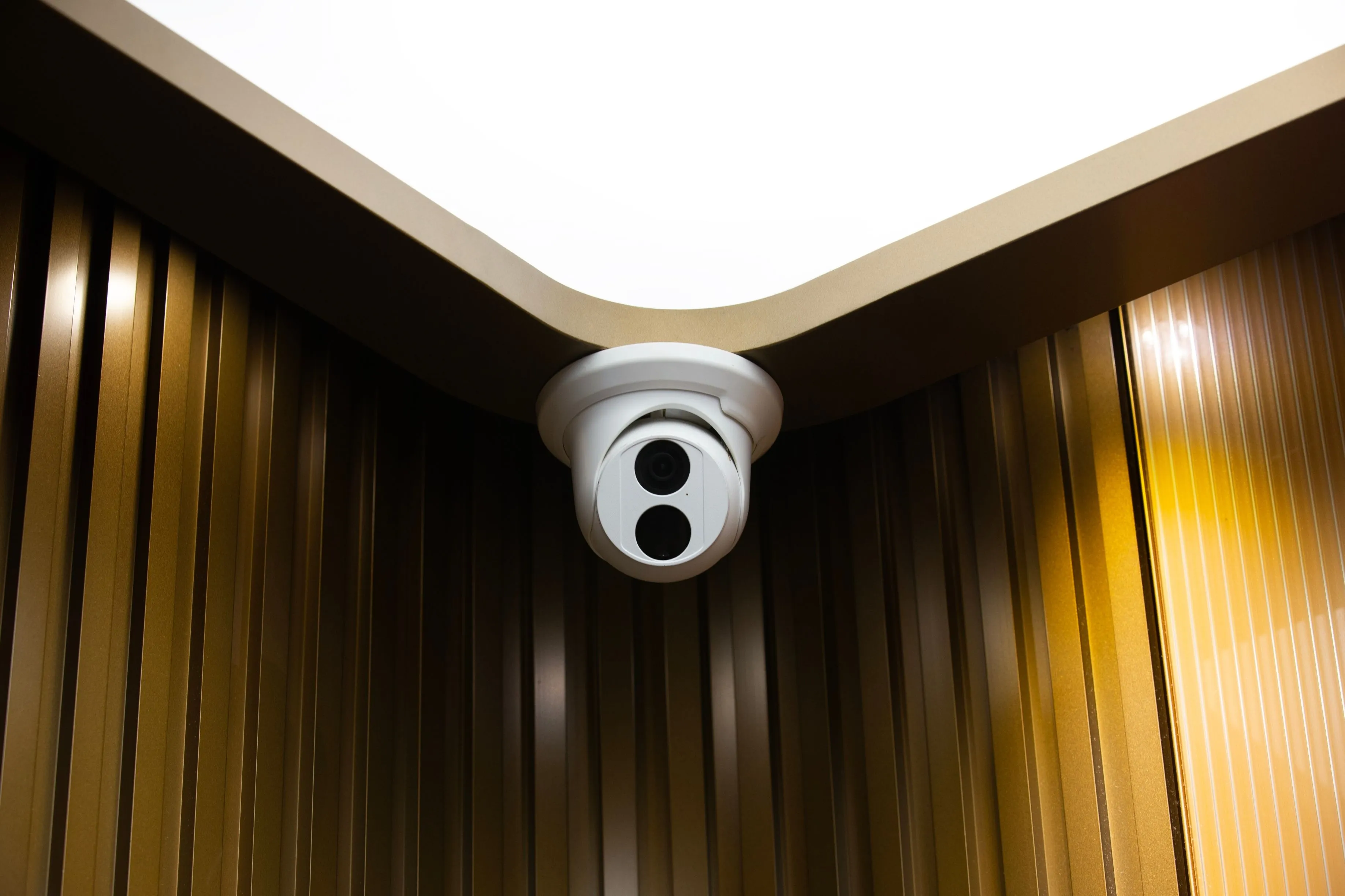 Why Security Cameras Are Essential for Homes and Businesses