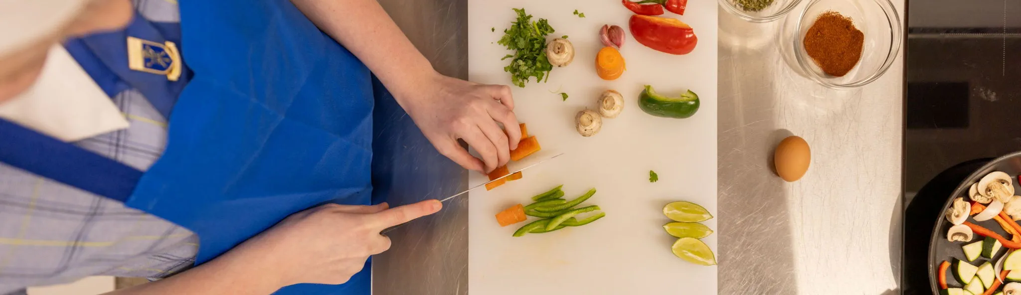 Vocational Education & Training