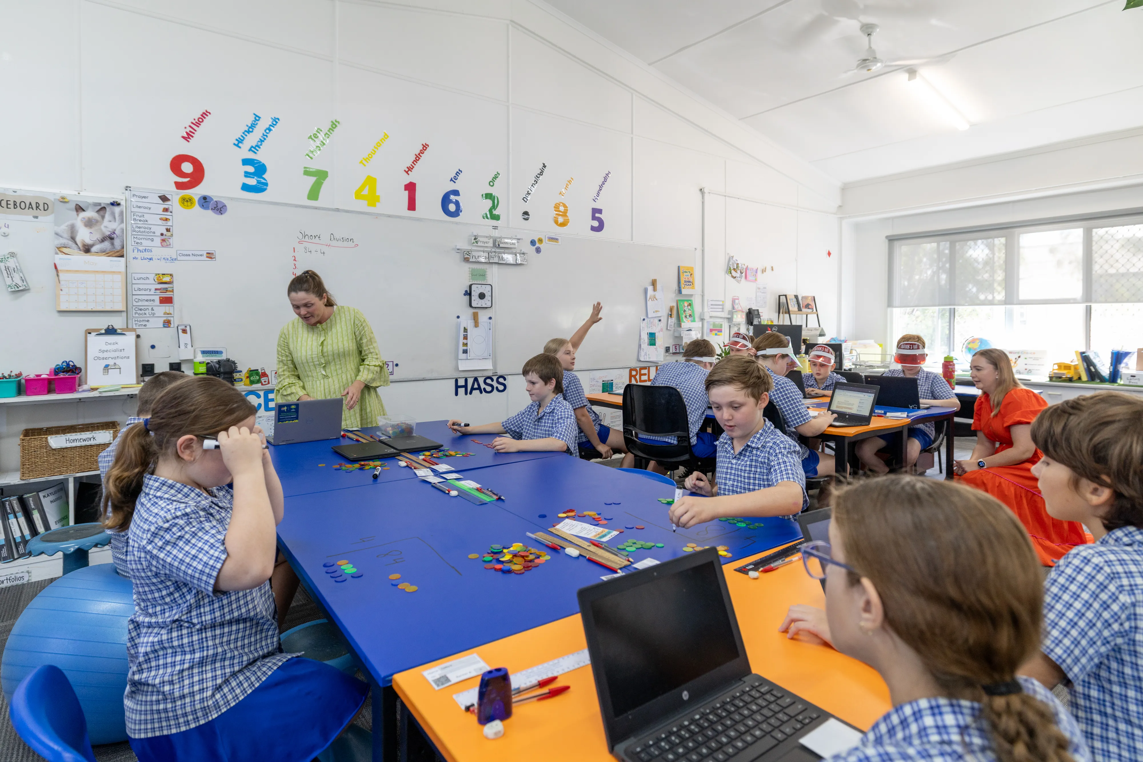 Curriculum