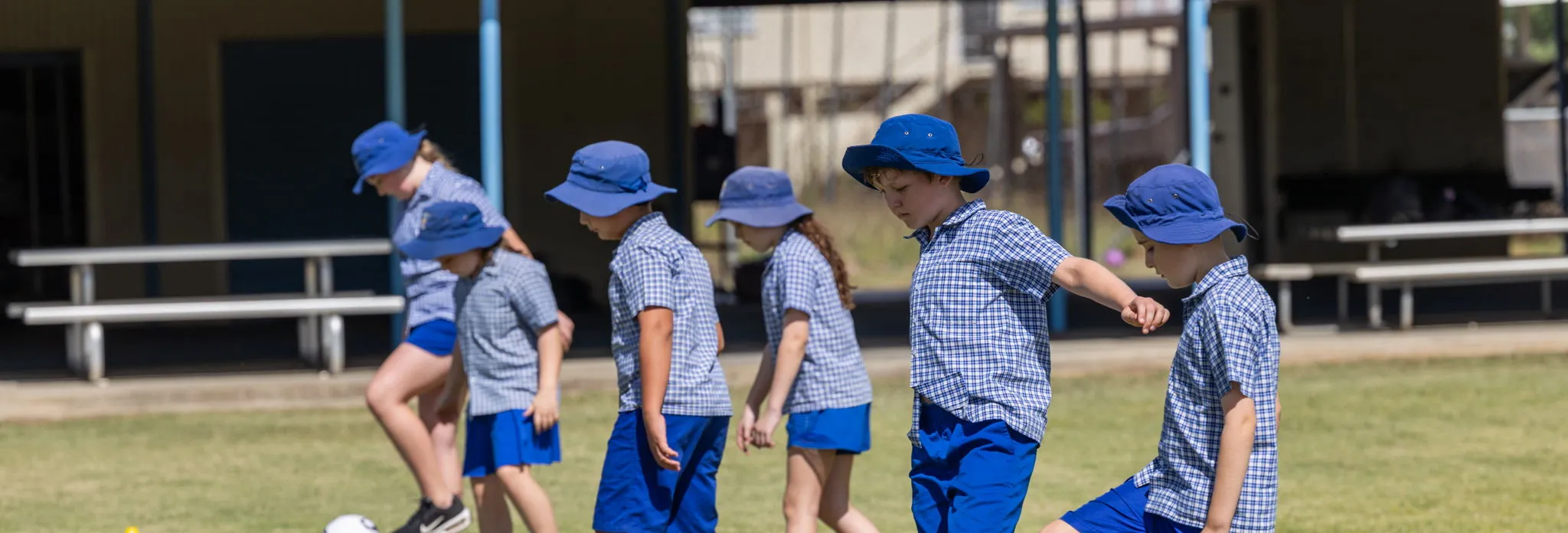 Entry Year Calculator