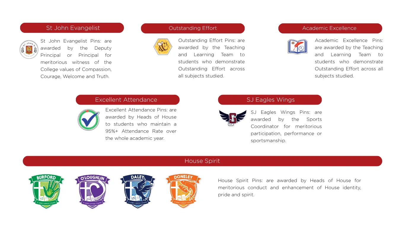 Merit Pins