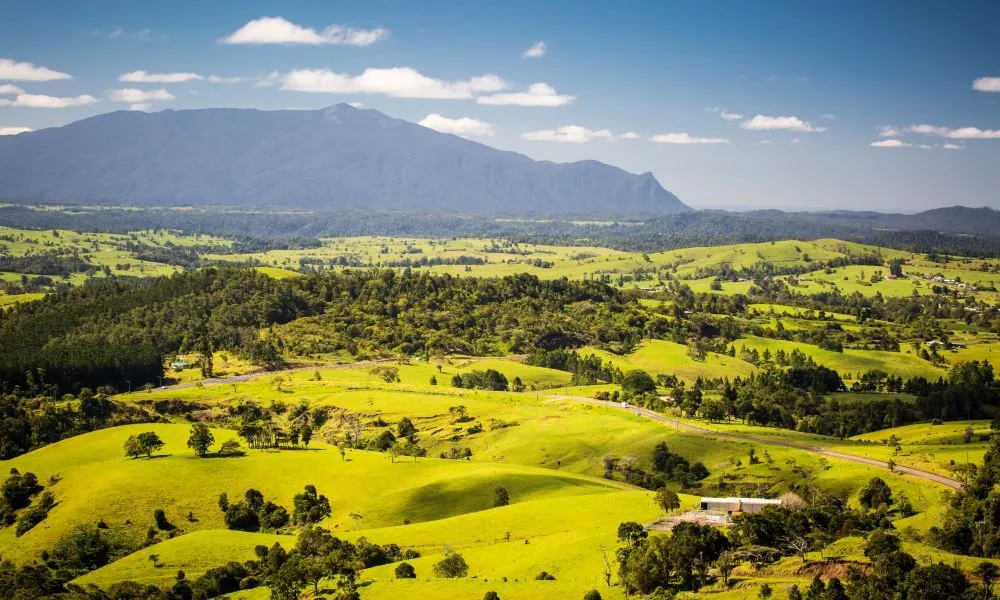 10 things I love about Atherton