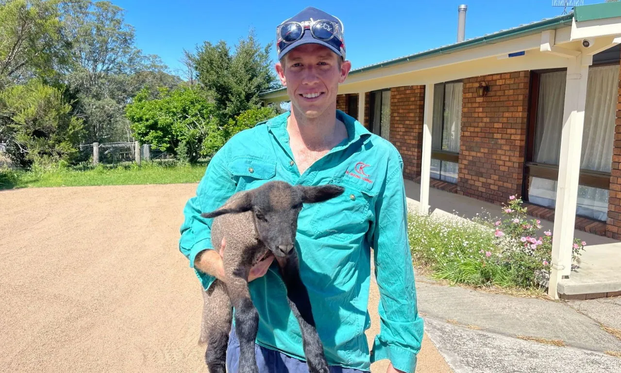 From the classroom to cattle yards in the Gulf of Carpentaria: Tom Knight's Tropical Vets scholarship