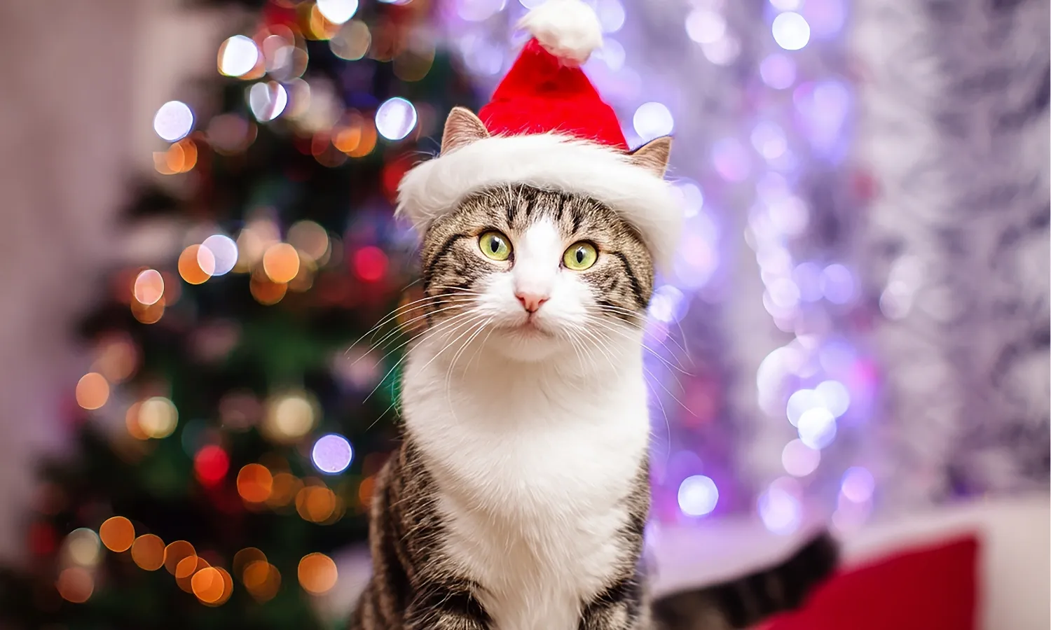 Image related to Client Newsletter December 2025