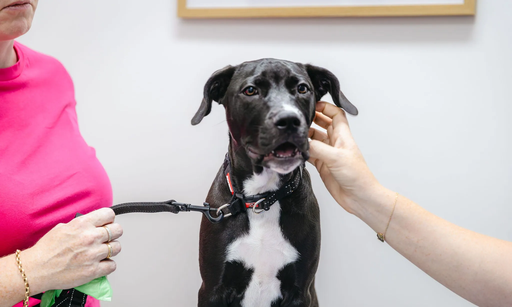 Image related to Why bad breath is never 