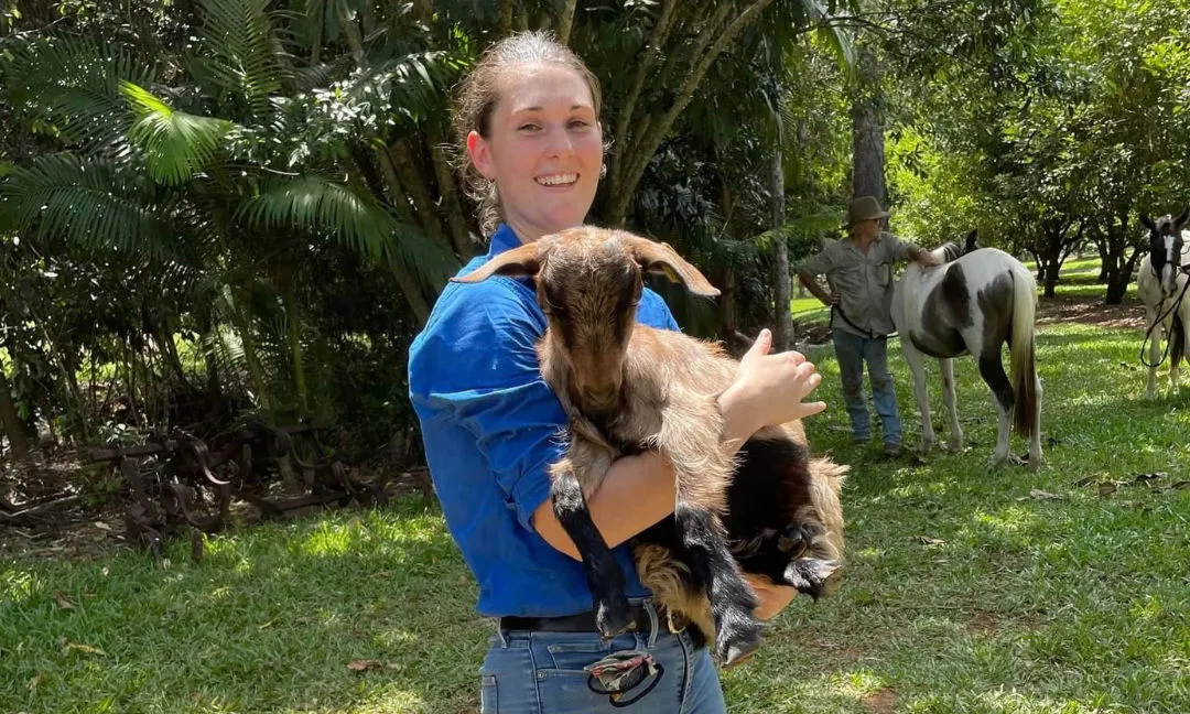 Tropical Vets Tully: Cassowaries, caravanning clients and community connection