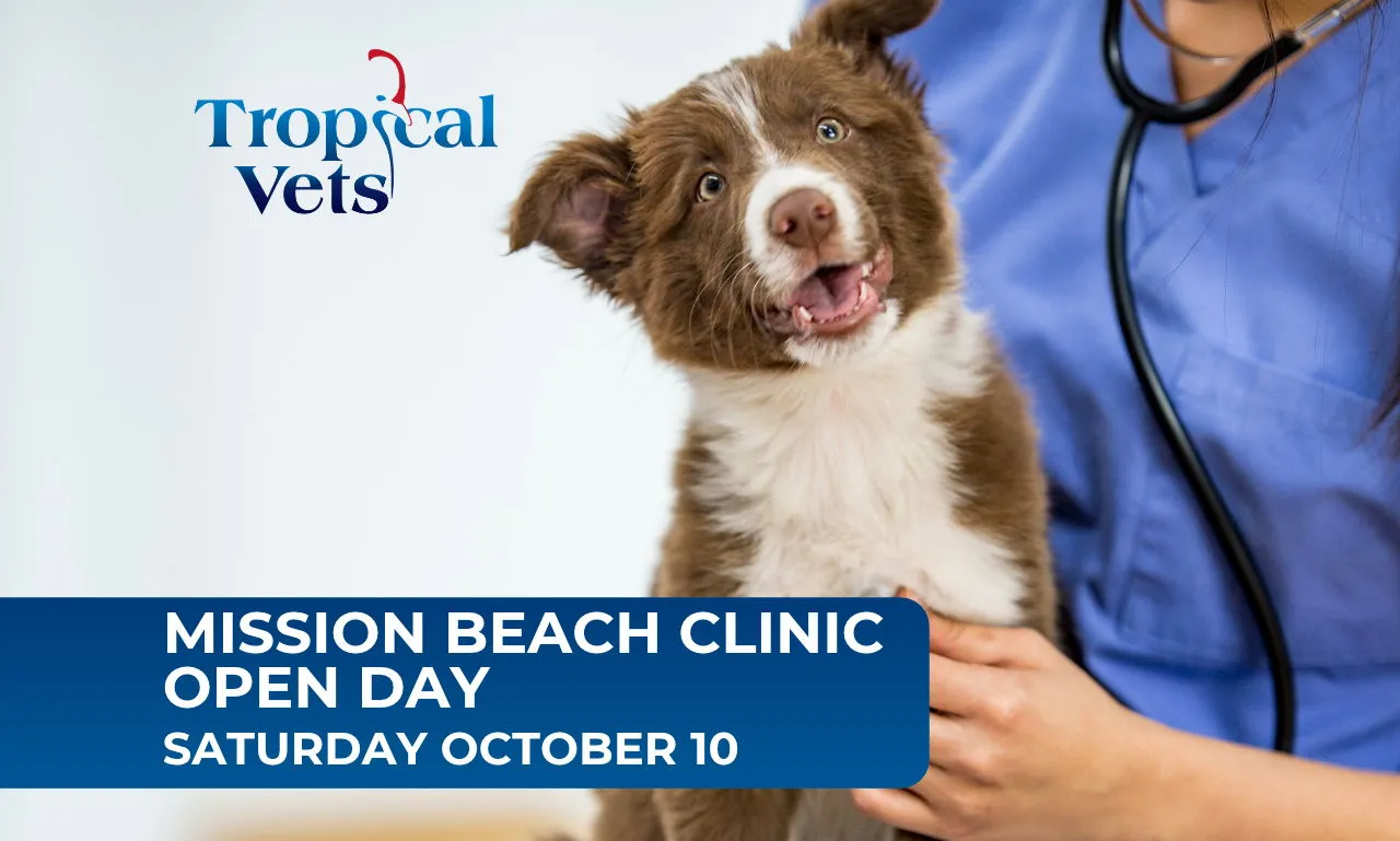 We’re opening our doors to all the adorable local dogs (and their humans); so come see our new look Mission Beach clinic